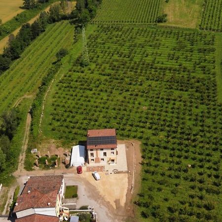 Corte Bottura Agriturismo Castelnuovo del Garda Dış mekan fotoğraf