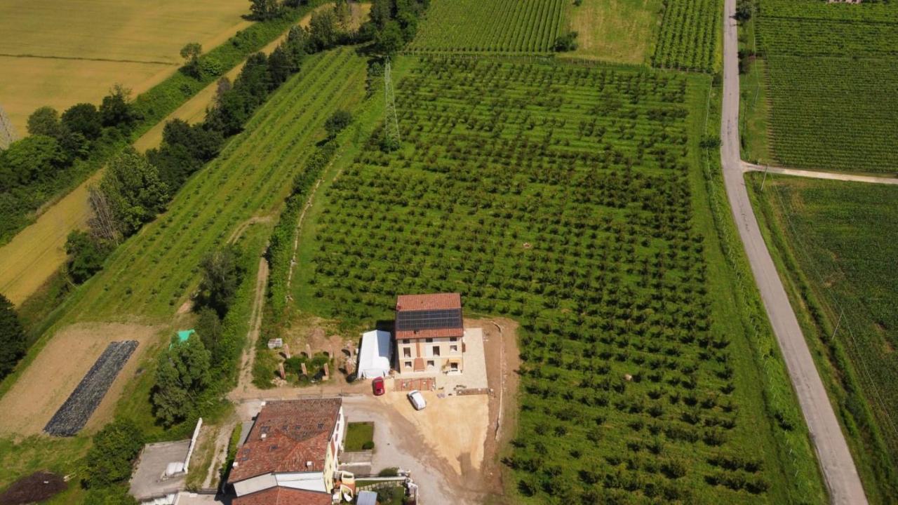 Corte Bottura Agriturismo Castelnuovo del Garda Dış mekan fotoğraf