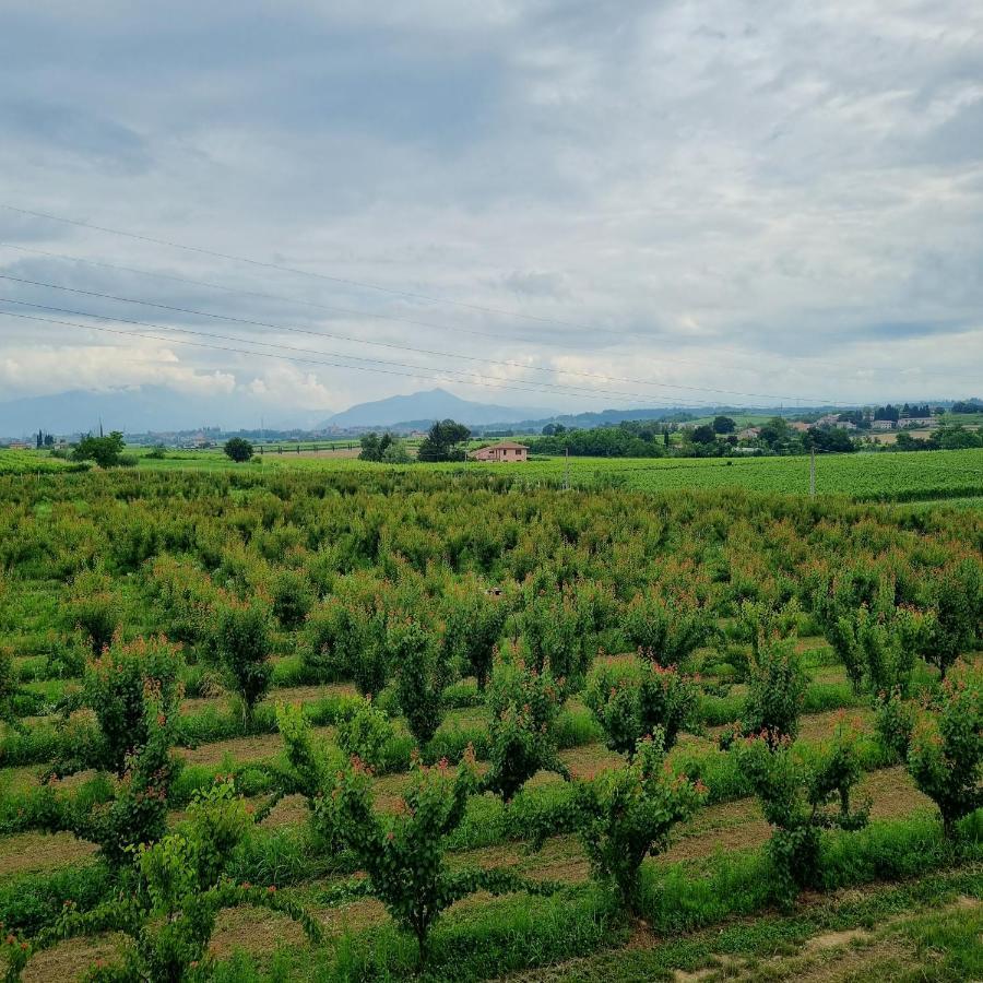 Corte Bottura Agriturismo Castelnuovo del Garda Dış mekan fotoğraf